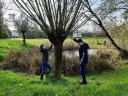 klik op de dia voor een grotere versie